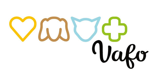 Vafo_group_basic-na-web2